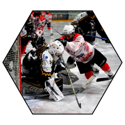 MadDogs Logo